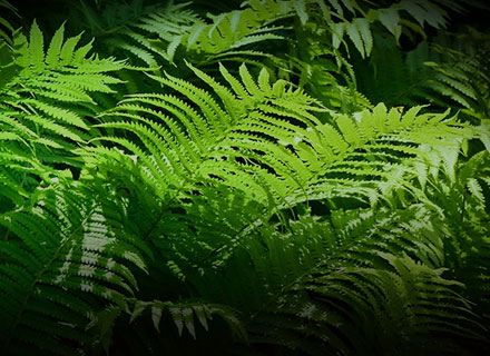 GA黄金甲·(中国区)官方网站